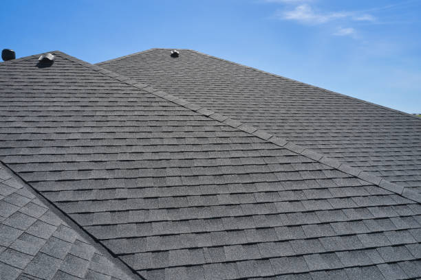 Best Rubber Roofing (EPDM, TPO)  in Lackawanna, NY